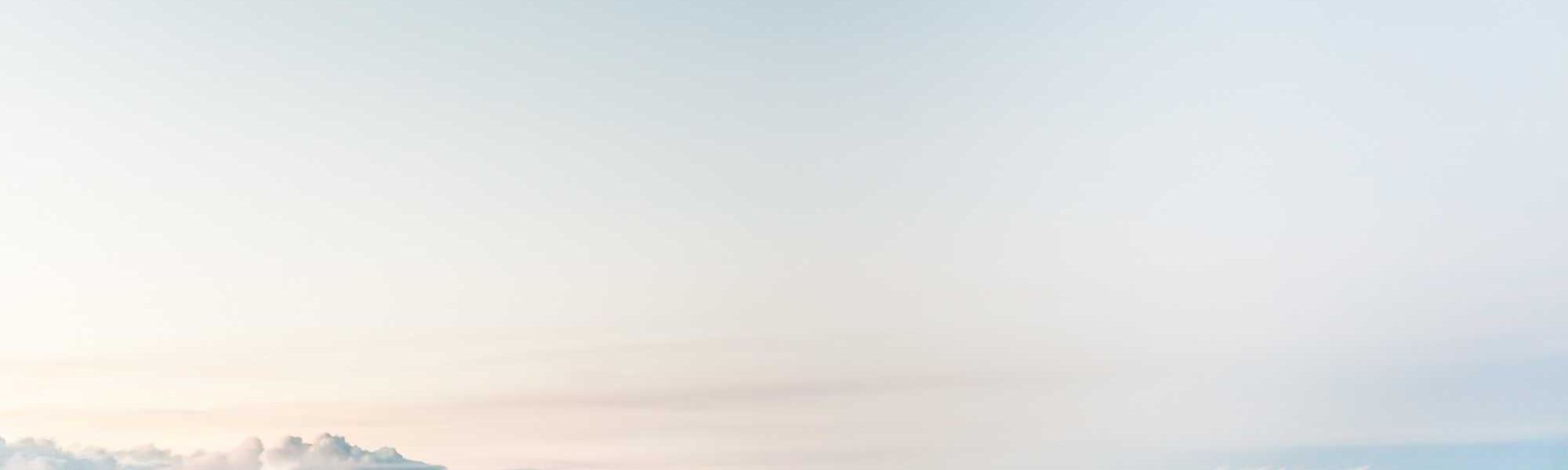 Online food ordering system